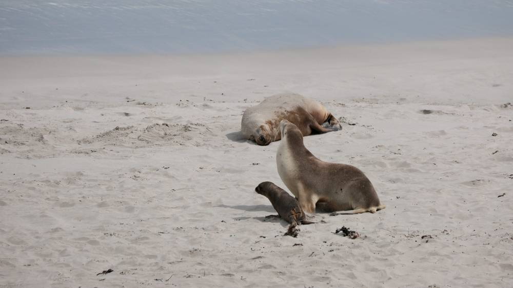 Chokerende rabatkoder: Spar stort med Søren Søgaard!